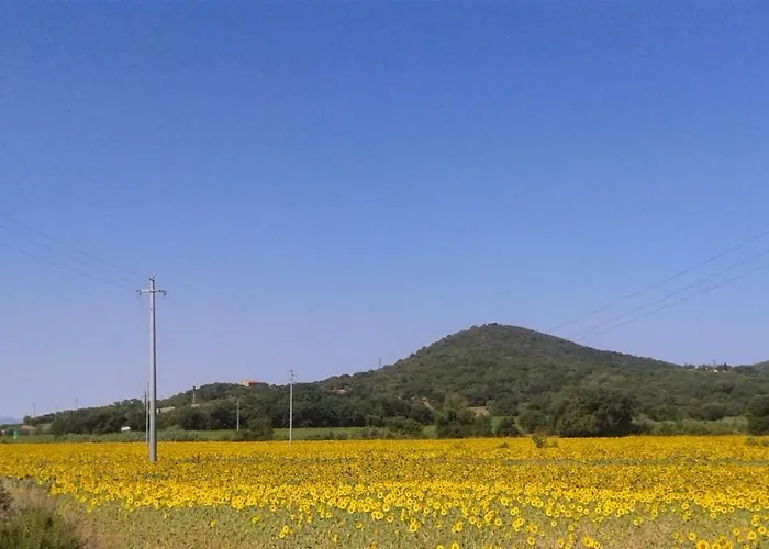 Διαμέρισμα In Frassine