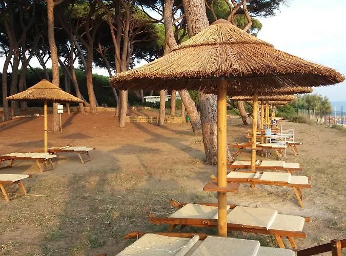 Διαμέρισμα In